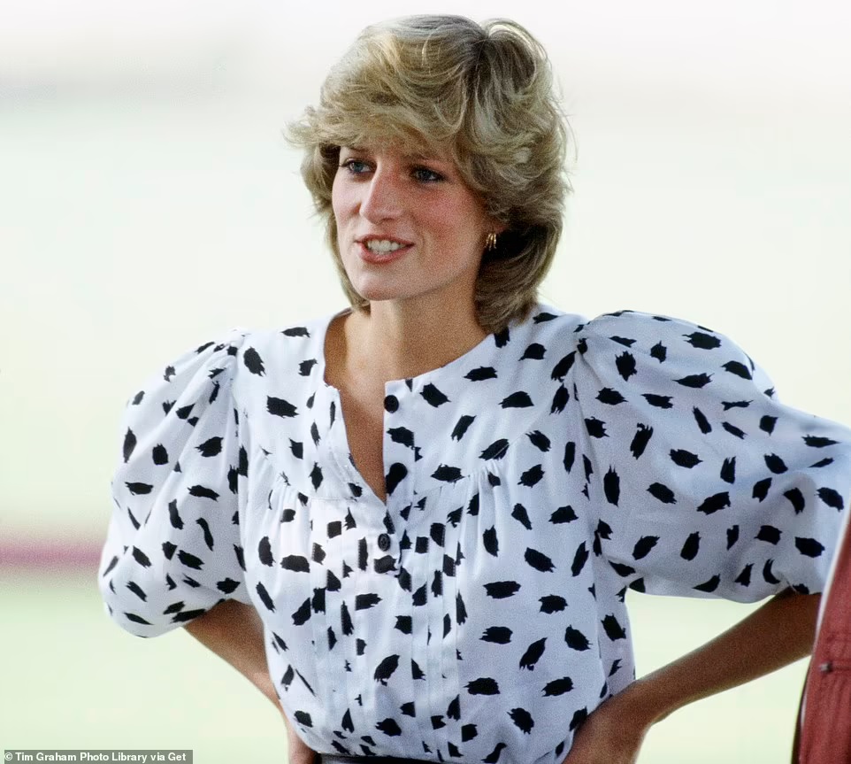 Why there's still so much controversy 25 years after Princess Diana's death