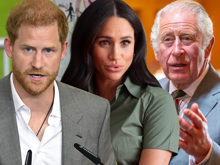 King Charles III handed five-point plan with advice on Harry and Meghan's future in Firm