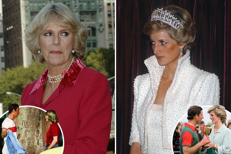 What Happened the Night Diana confronted Camilla about affair to the utter horror of Prince Charles