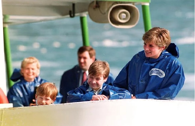 Diana tried to 'shield' Harry and William from heir and spare 'labels': ‘Troubled by it'