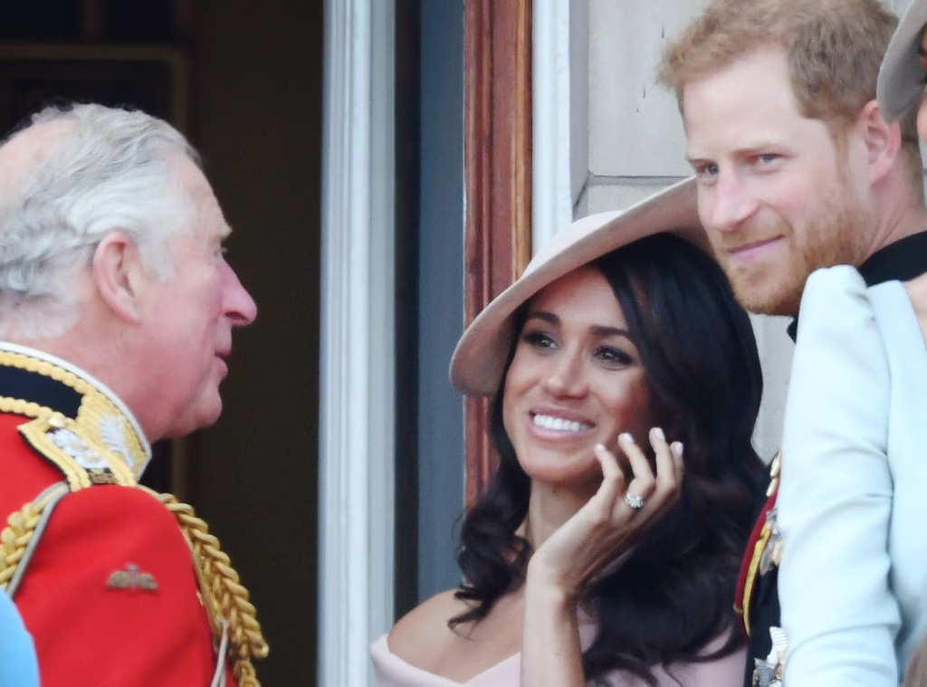 The 'real reason' Prince Harry saw King Charles for just 30 minutes revealed by expert