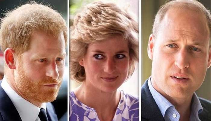 Prince William 'recognises Harry had a harder upbringing' as he had less time with Diana