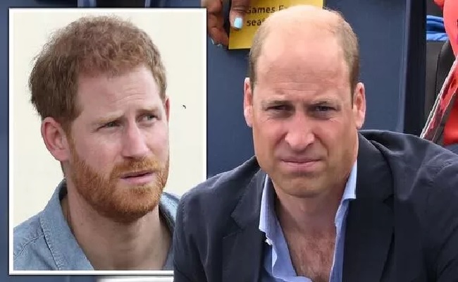 The untold truth about Prince Harry and Prince William rift.