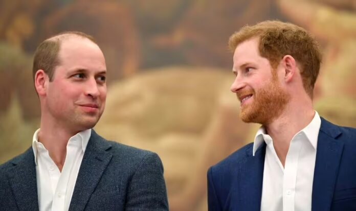 Prince Harry clears way for Prince William to perform major role with 'diplomatic' move