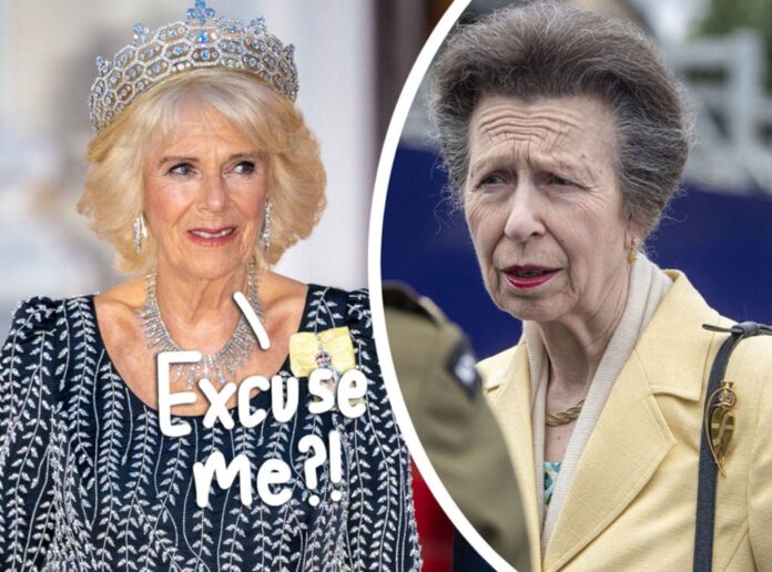 The Subtle Way Princess Anne Talked To Camilla About Her Queen Title