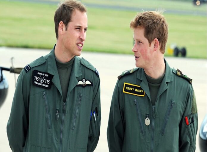 Prince Harry's eight-word remark about Prince William 'secrets' left out of Spare