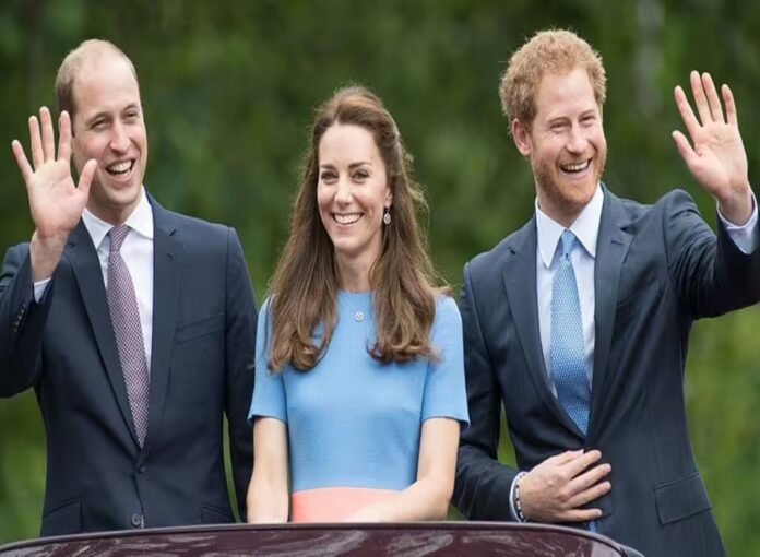 Prince William 'desperately needs Harry' but 22-word statement shows tension remains