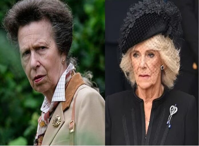 The Subtle Way Princess Anne Talked To Camilla About Her Queen Title