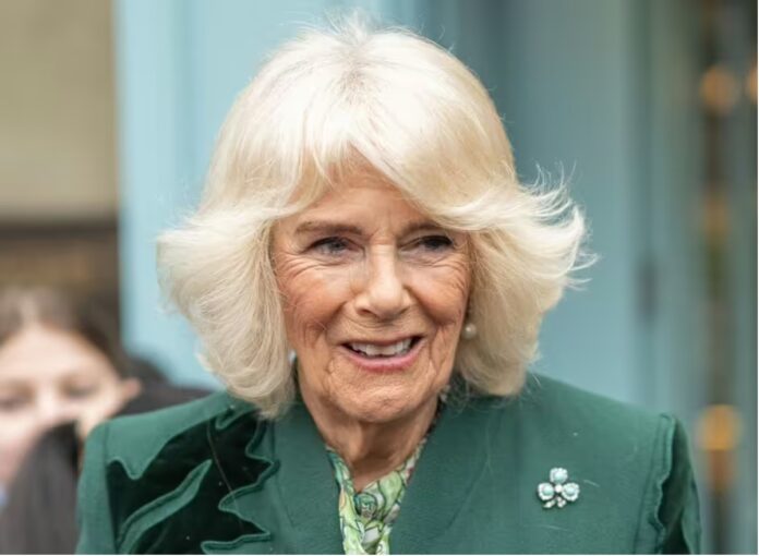 The two words that show exactly how Queen Camilla feels about Prince Harry returning to UK