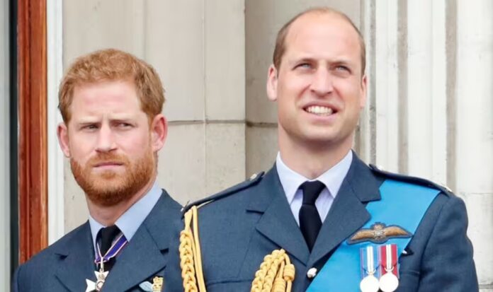 Prince Harry's eight-word remark about Prince William 'secrets' left out of Spare
