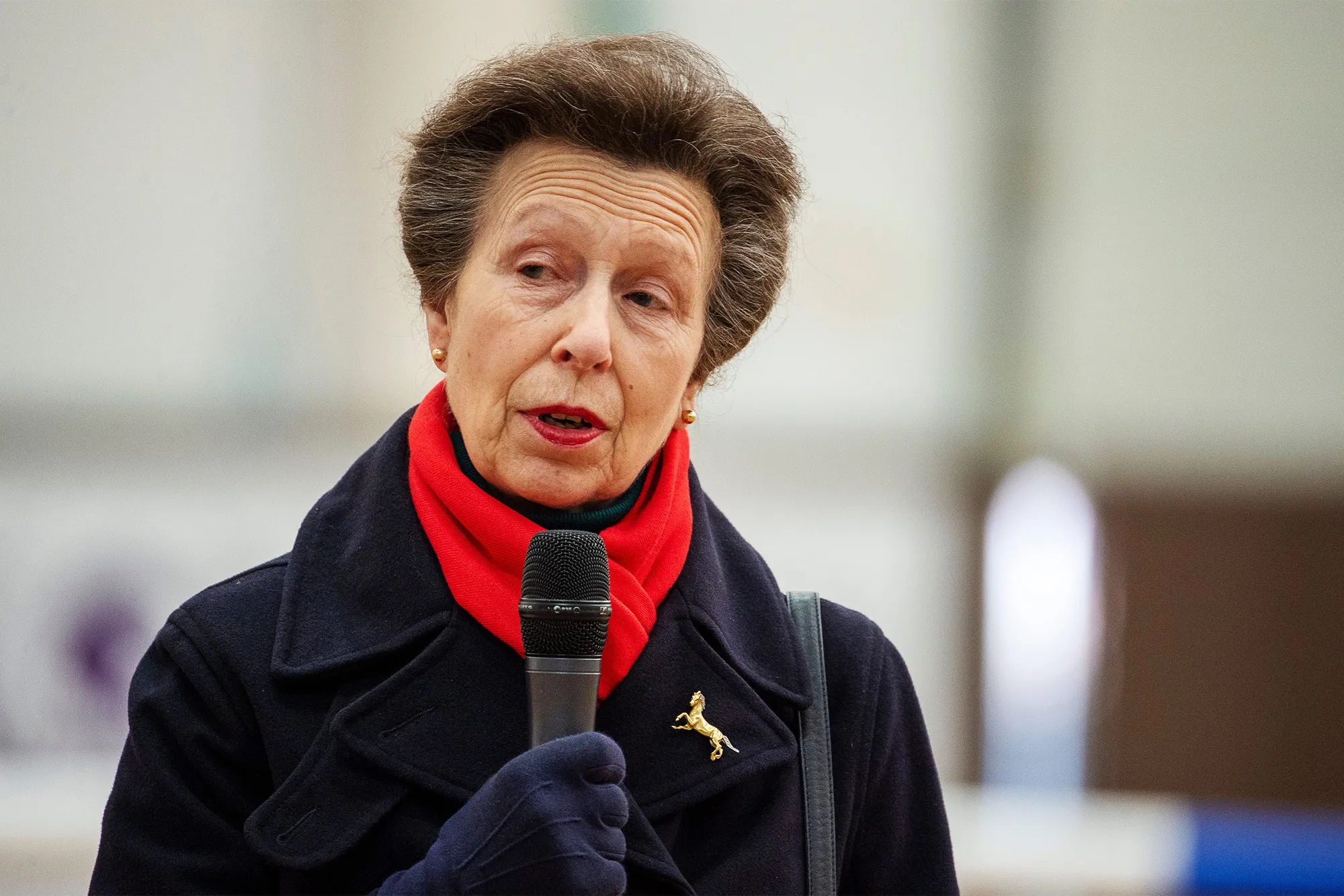 Why Princess Anne 'didn't inherit anything from late Queen' in lesser-known scheme