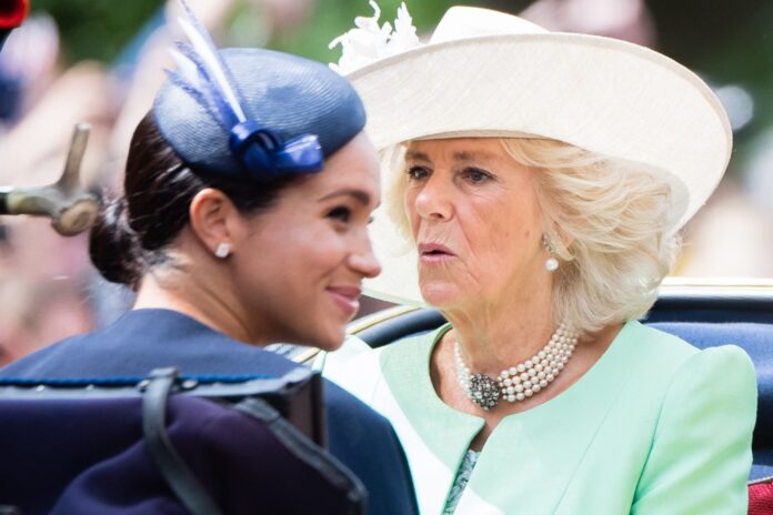 King Charles 'harbors a Lot of Anger' Toward Prince Harry Over Queen Camilla for this Reason