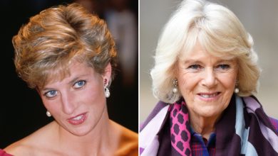 Major similarity between Queen Camilla and Princess Diana revealed by royal expert