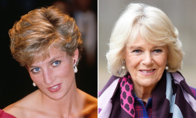 Major similarity between Queen Camilla and Princess Diana revealed by royal expert