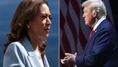 The Reason Why Kamala Harris Rejects Donald Trump's Offer To Shift Presidential Debate