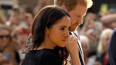 Royal Family LIVE: Expert explains real reason Meghan's plan to 'rebrand' will fail in UK