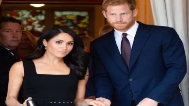 Royal Family LIVE: Prince Harry and Meghan Markle 'closer' to alliance with two key royals