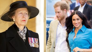 Princess Anne missed out on key Prince Harry milestone after 'full scale' family row