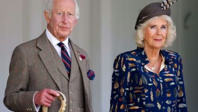 How Queen Camilla is the 'real reason' King Charles isn't bending over backwards for Prince Harry