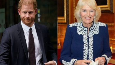 Viral: When Prince Harry called Queen Camilla "the villain" for these reasons