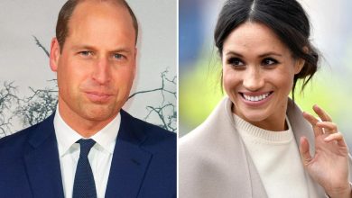 Meghan Markle threatens Prince William in new Royal Family poll ranking