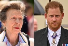 Princess Anne missed out on key Prince Harry milestone after 'full scale' family row