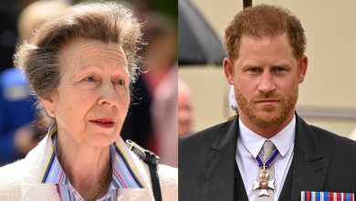 Princess Anne missed out on key Prince Harry milestone after 'full scale' family row