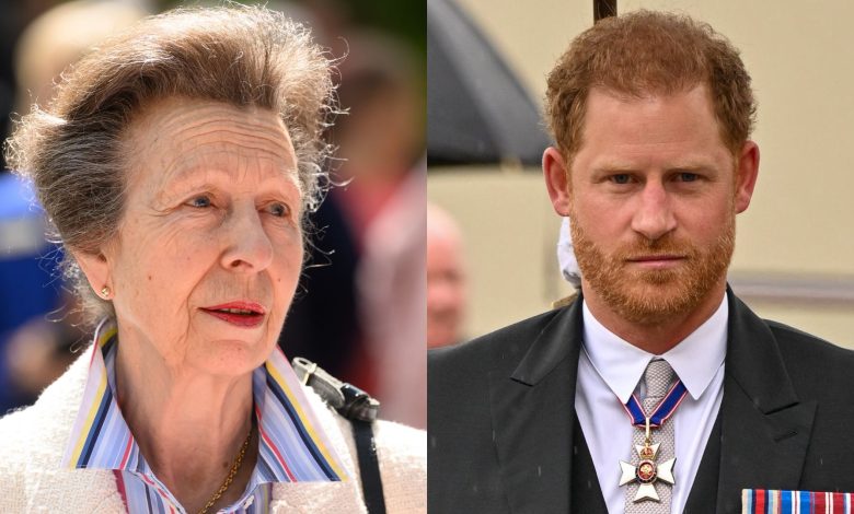 Princess Anne ‘snubbed’ key Prince Harry event after ‘full scale family row’