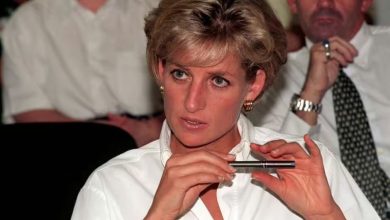 The Top Secret Princess Diana went to grave with reaveled