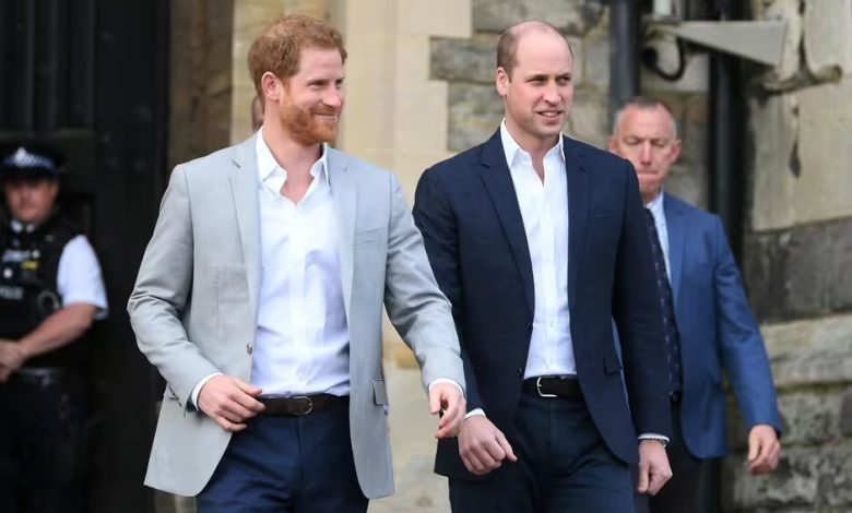 Prince Harry rejected William’s ‘heart to heart’ with blunt two-word reply