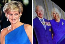 Australia snubs Princess Diana in Sydney Opera House tribute to King Charles and Camilla