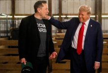 Major Reasons Why Donald Trump Appoints Elon Musk To Lead U.S. Govt Efficiency Department