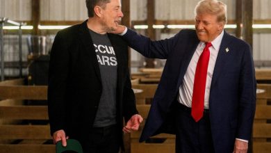 Major Reasons Why Donald Trump Appoints Elon Musk To Lead U.S. Govt Efficiency Department