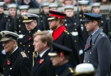 Prince Harry and Prince Andrew faced royal embarrassment with Remembrance wreath row