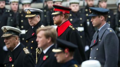 Prince Harry and Prince Andrew faced royal embarrassment with Remembrance wreath row