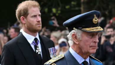 Real reason King Charles may never reconcile with Prince Harry revealed in bombshell