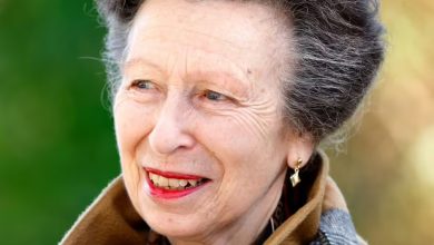 I used to work with Princess Anne - this is my verdict on her retirement