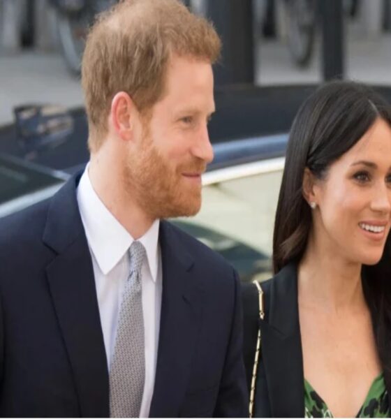 Meghan Markle and Prince Harry reveal shock plans for children's future