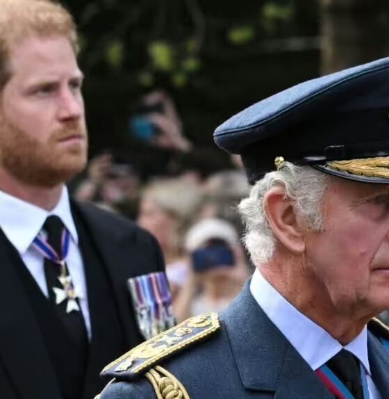 Royal Family LIVE: Prince Harry ‘forces’ King Charles into ‘difficult position’