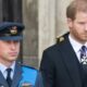 Royal Family LIVE: Expert delivers devastating reality about William and Harry feud