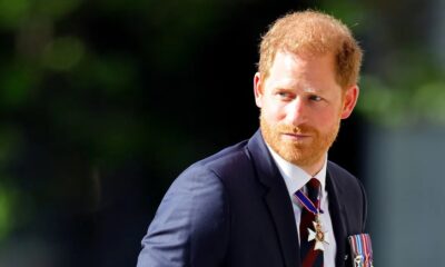 Royal Family LIVE: Expert delivers devastating reality about William and Harry feud